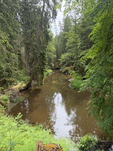 Waldnaabtal Rundweg (Hammermühl-Runde kurz)