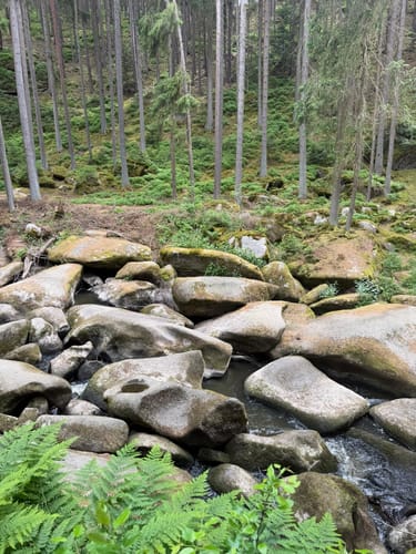 Waldnaabtal Rundweg (Hammermühl-Runde kurz)