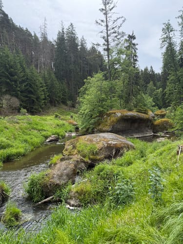 Waldnaabtal Rundweg (Hammermühl-Runde kurz)