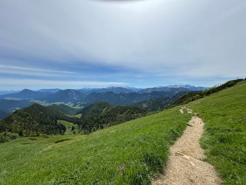 Hochfelln Gipfel ab Bergen
