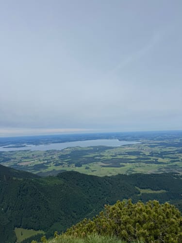 Hochfelln Gipfel ab Bergen