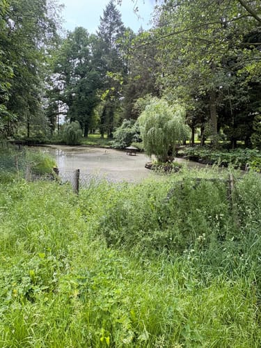 Wanderweg zum Geiersberg