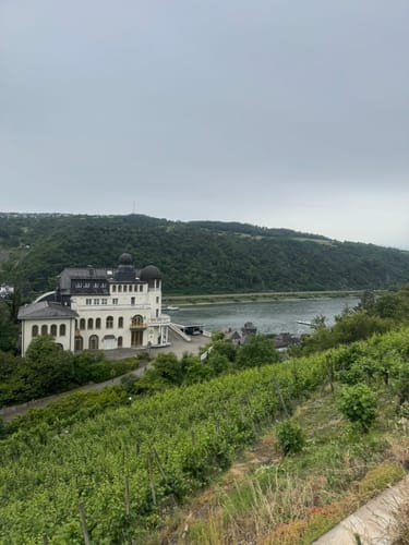 Rheinsteig Etappe 16: Kaub bis Lorch