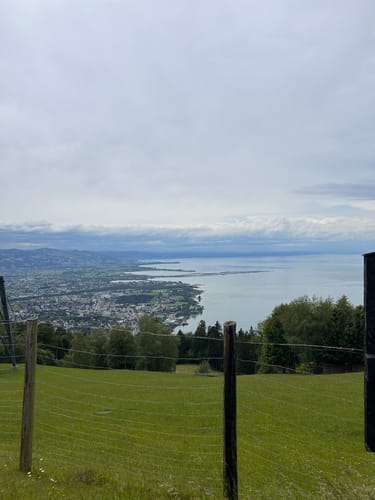 Von Bregenz auf den Pfänder und die Pfänderalp