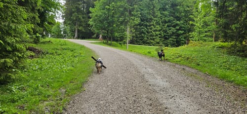Zug Ultra Trail 16km