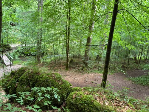 Rundwanderweg Pottenstein