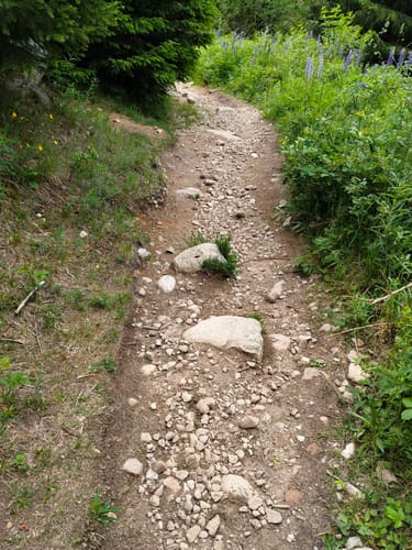 Rundweg zum Riesenbühlturm