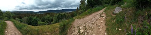 Rundweg zum Riesenbühlturm