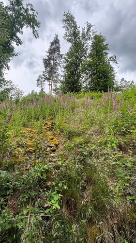 Rund um den Hohenwartestausee