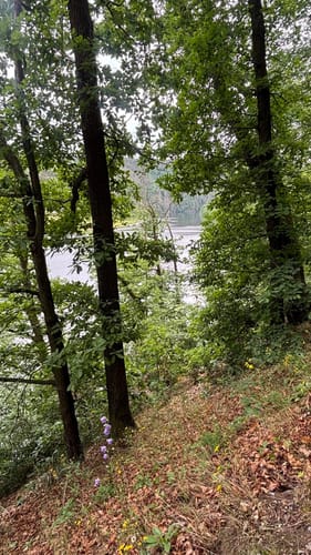 Rund um den Hohenwartestausee