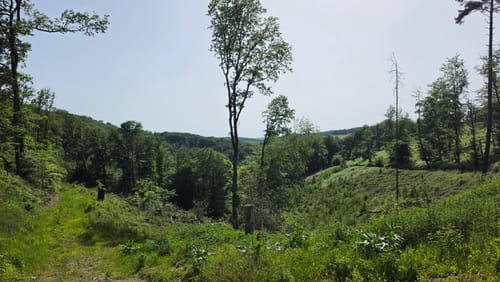 Elfringhauser Schweiz