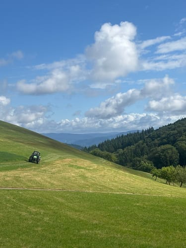 Schweighausen: Aussichtsweg - Große Runde
