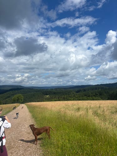 Schweighausen: Aussichtsweg - Große Runde