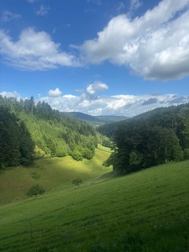 Schweighausen: Aussichtsweg - Große Runde
