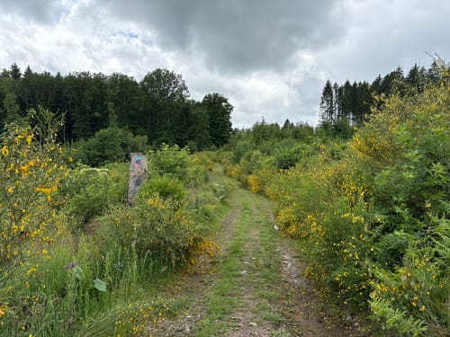Bigge-Lister-Wanderweg