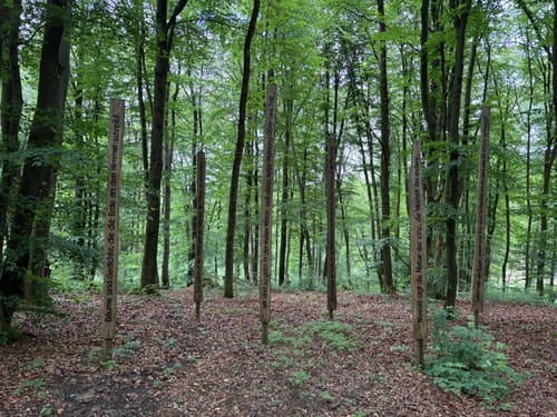 Bigge-Lister-Wanderweg