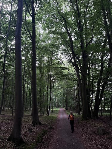 Hochuferwanderweg und Jagdschloß Granitz