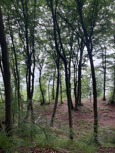 Hochuferwanderweg und Jagdschloß Granitz