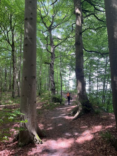 Hochuferwanderweg und Jagdschloß Granitz