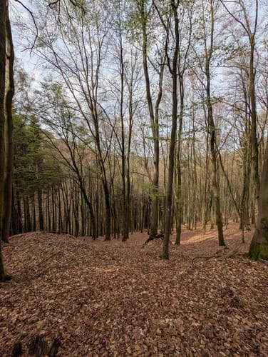 Der Wadenbeißer
