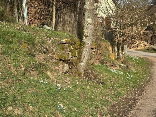 Faun - Hafenlohrtal - Karlshöhe