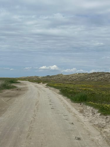 Ø-Camino Fanø Etape 2: Sønderho - Nordby