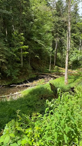 Rappenfelsensteig (Genießerpfad)