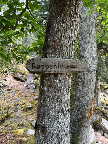 Rappenfelsensteig (Genießerpfad)