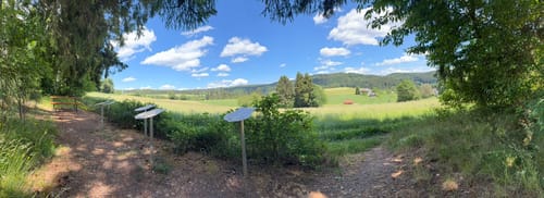 Rappenfelsensteig (Genießerpfad)