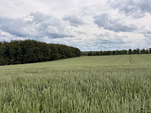 Heiligenhaus - Isenbügel - Nipshagen