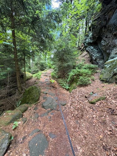Kelchstein - Felsengasse -Töpfer Oybin