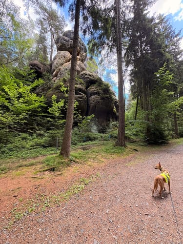 Kelchstein - Felsengasse -Töpfer Oybin
