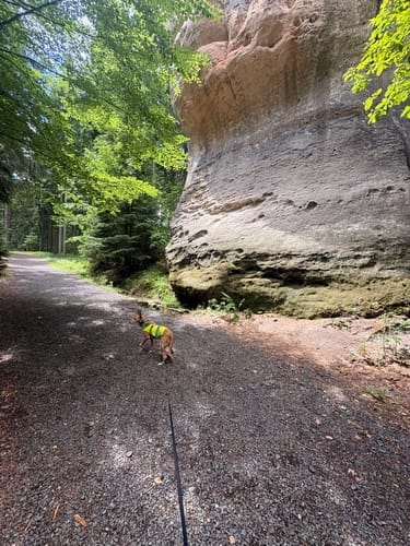 Kelchstein - Felsengasse -Töpfer Oybin