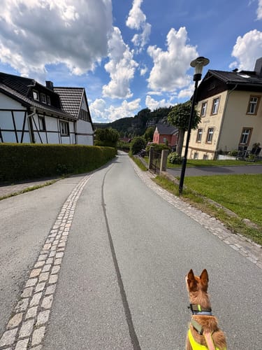 Kelchstein - Felsengasse -Töpfer Oybin