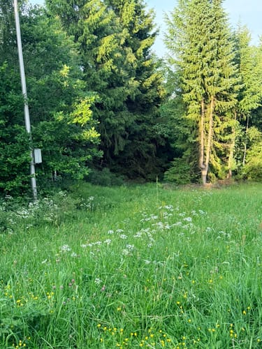 Elfenfohren - Leveringhausen - Quitmannsturm