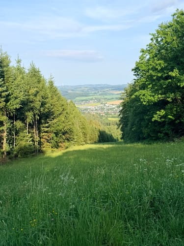 Elfenfohren - Leveringhausen - Quitmannsturm