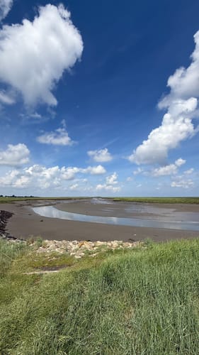 Langwarder Groden