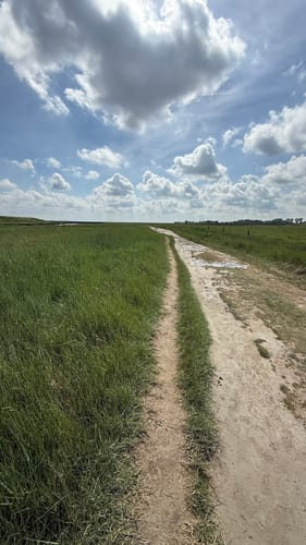 Langwarder Groden