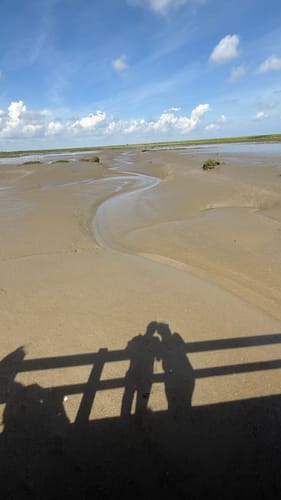 Langwarder Groden