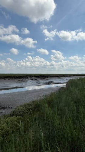 Langwarder Groden