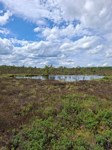Naturlehrpfad Schwarzes Moor