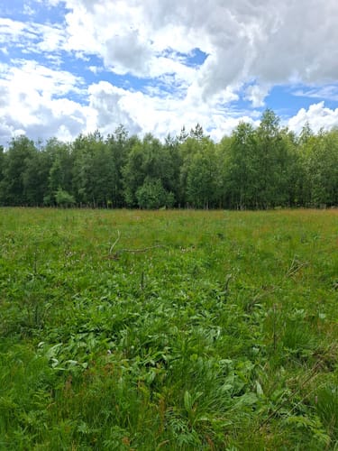 Naturlehrpfad Schwarzes Moor