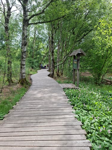 Naturlehrpfad Schwarzes Moor