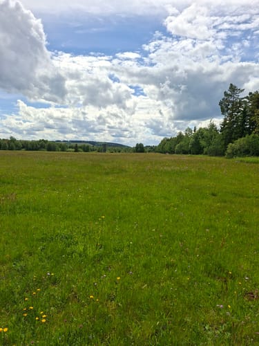Naturlehrpfad Schwarzes Moor