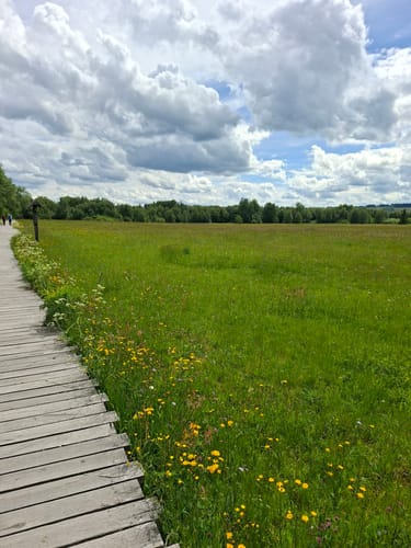 Naturlehrpfad Schwarzes Moor