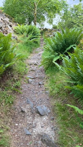Vulkanlandschaft Rauher Kulm Gelbe - Blaue Linien