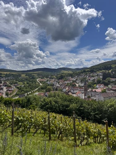 Zu den Wolfstein Burgen