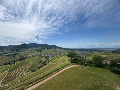 Durbacher Weinpanorama (Premiumwanderweg)