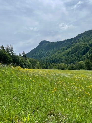 Rechenbergalm ab Oberwössen