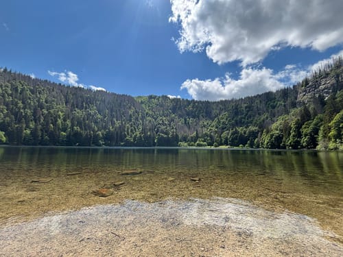 Feldbergsteig (Genießerpfad)